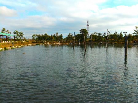三桁釣果に大物もキャッチ！